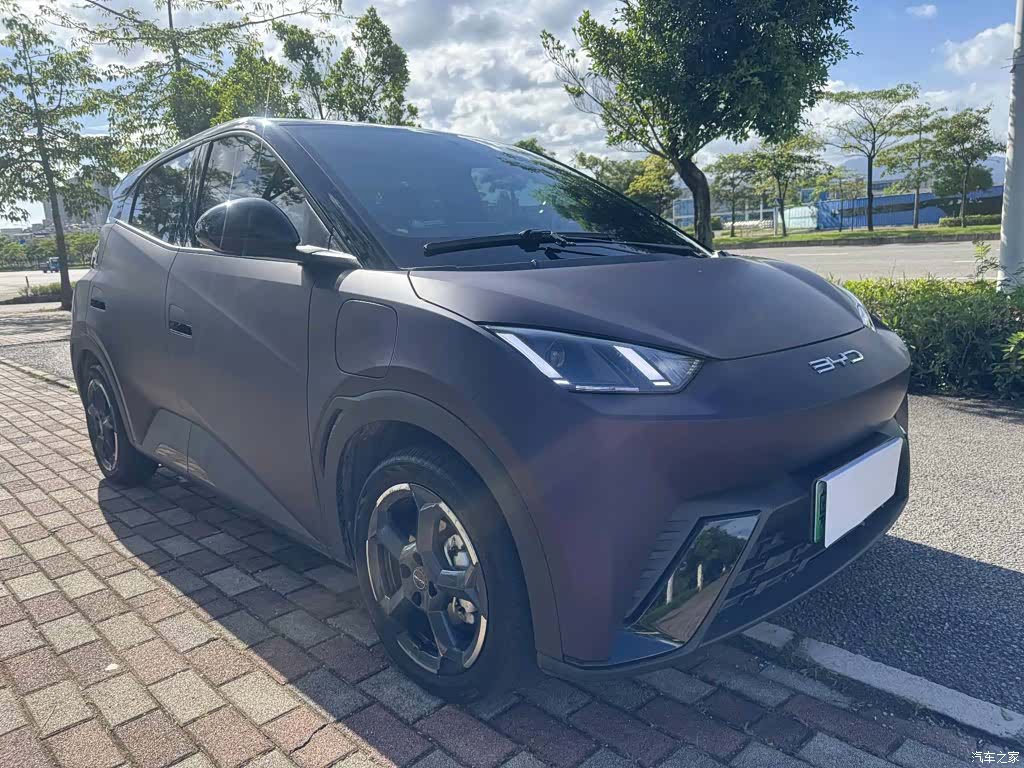 BYD Seagull, 2024 3