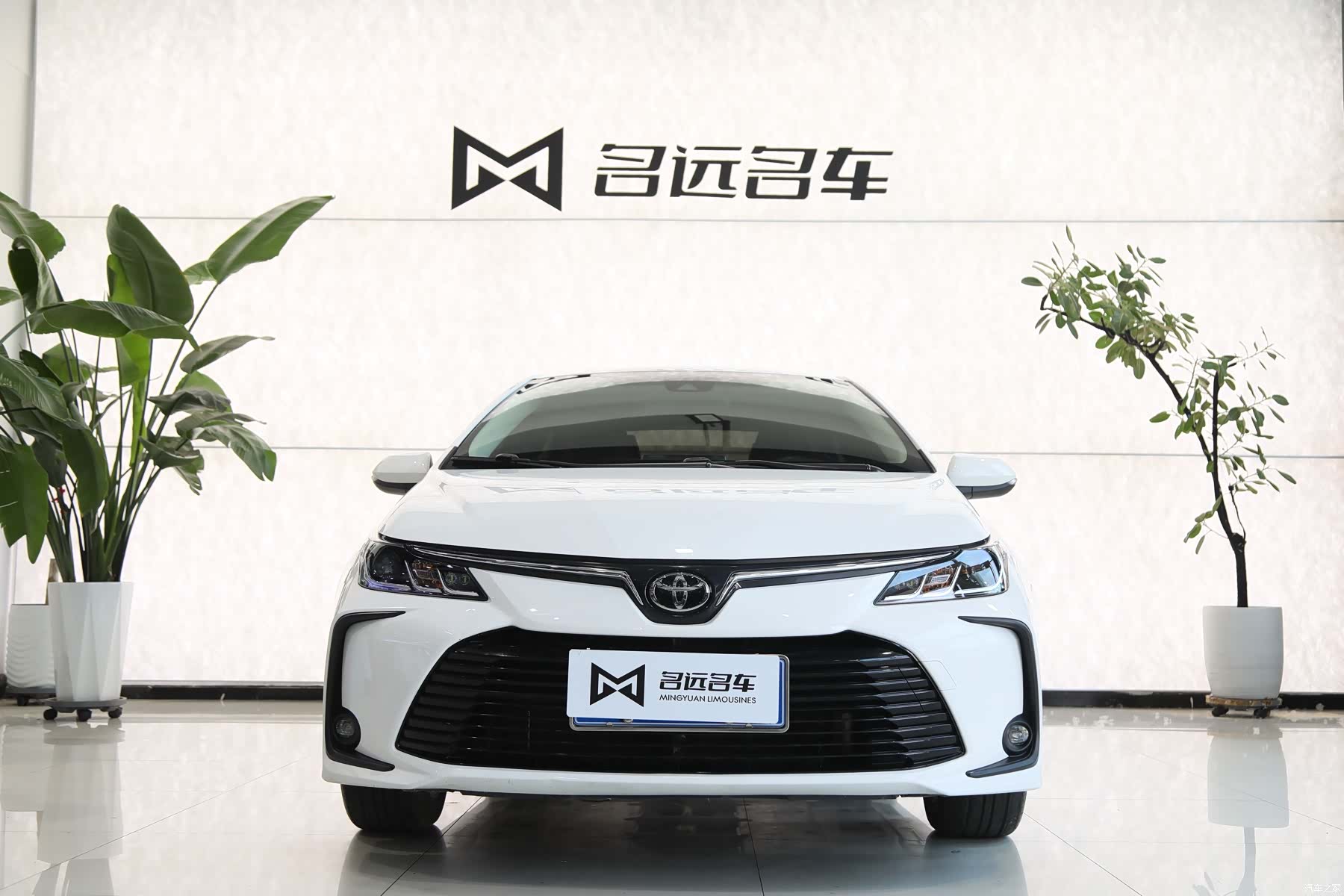 Toyota Corolla, 2023 2