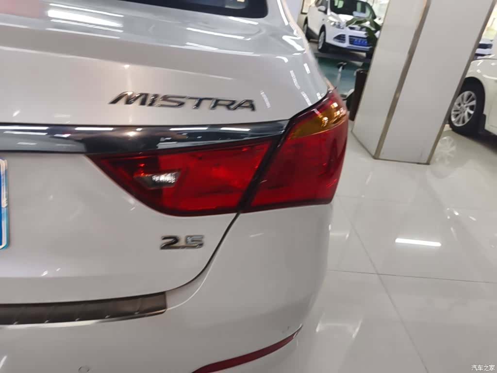 Hyundai GLS, 2015 8