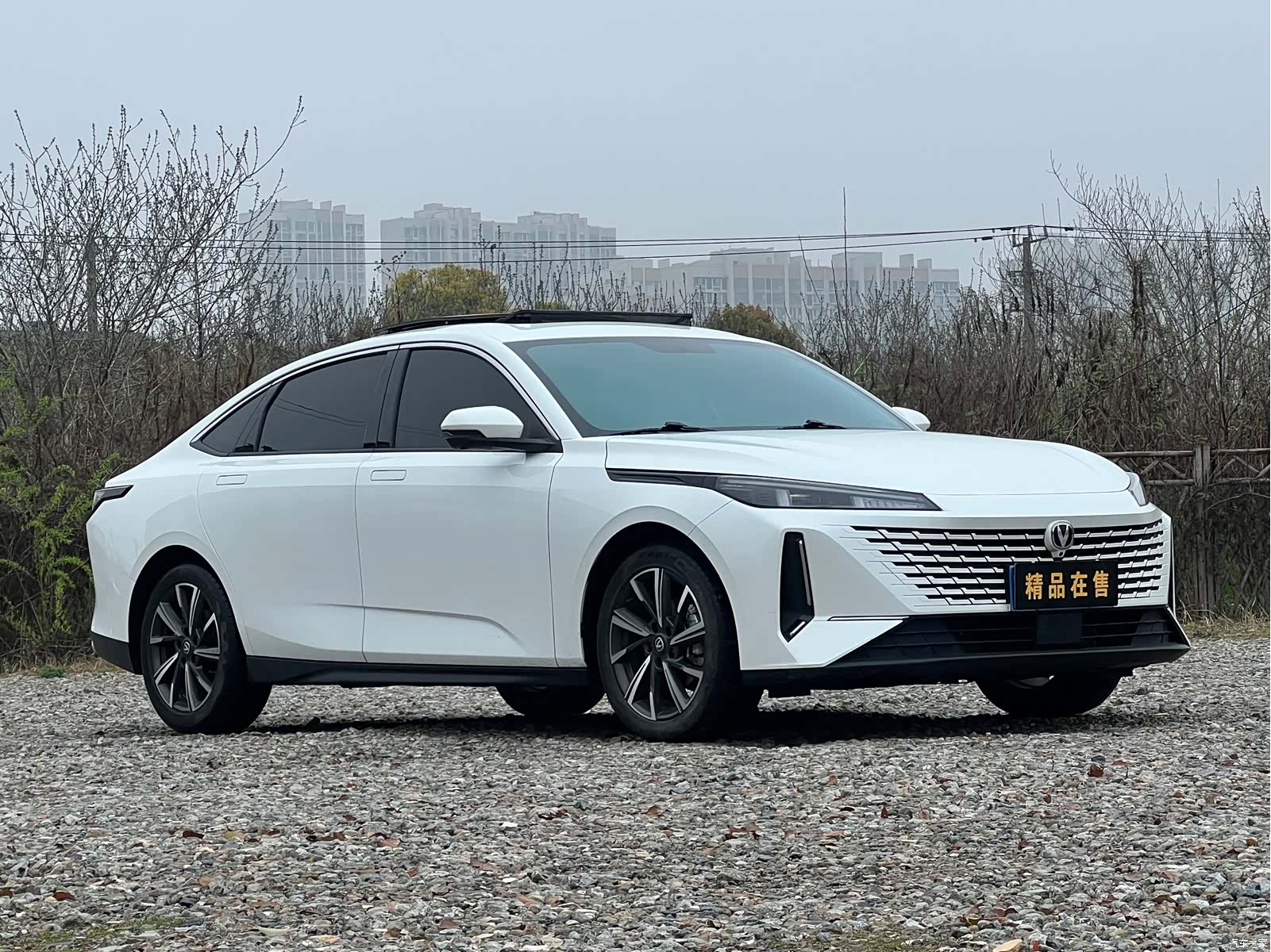 Changan Eado, 2024 3