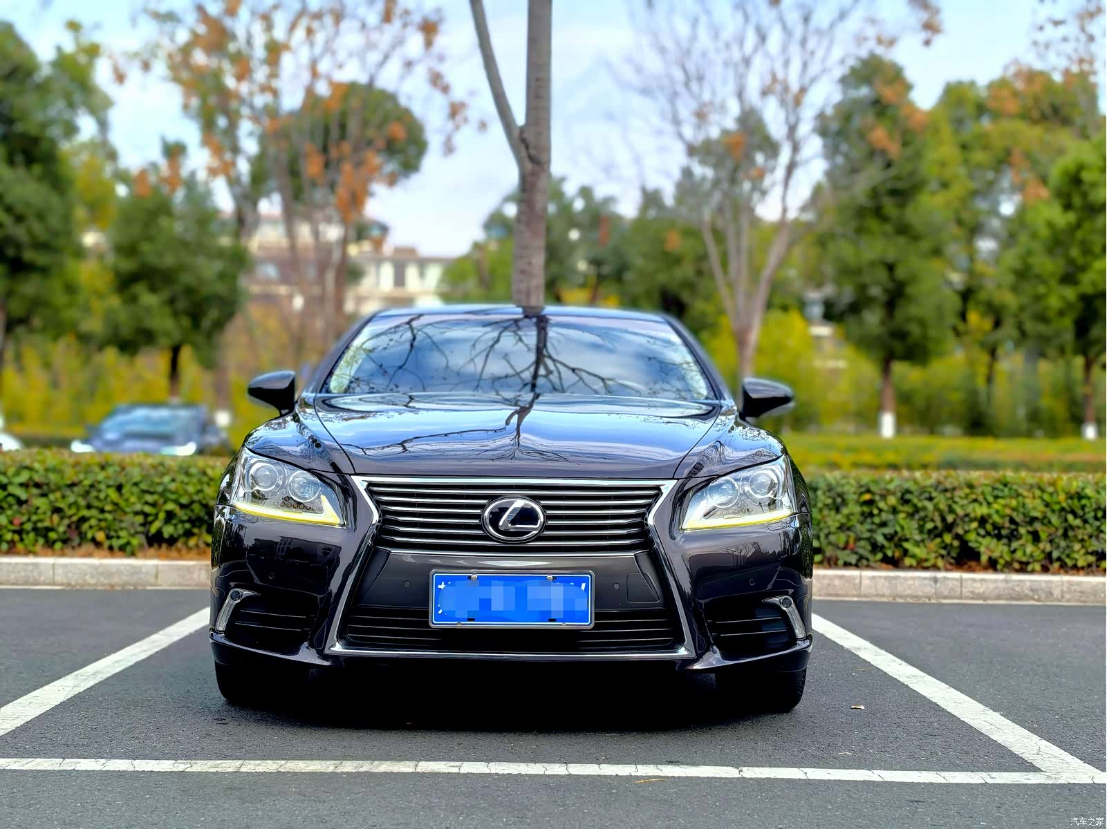 Lexus LS, 2015 2