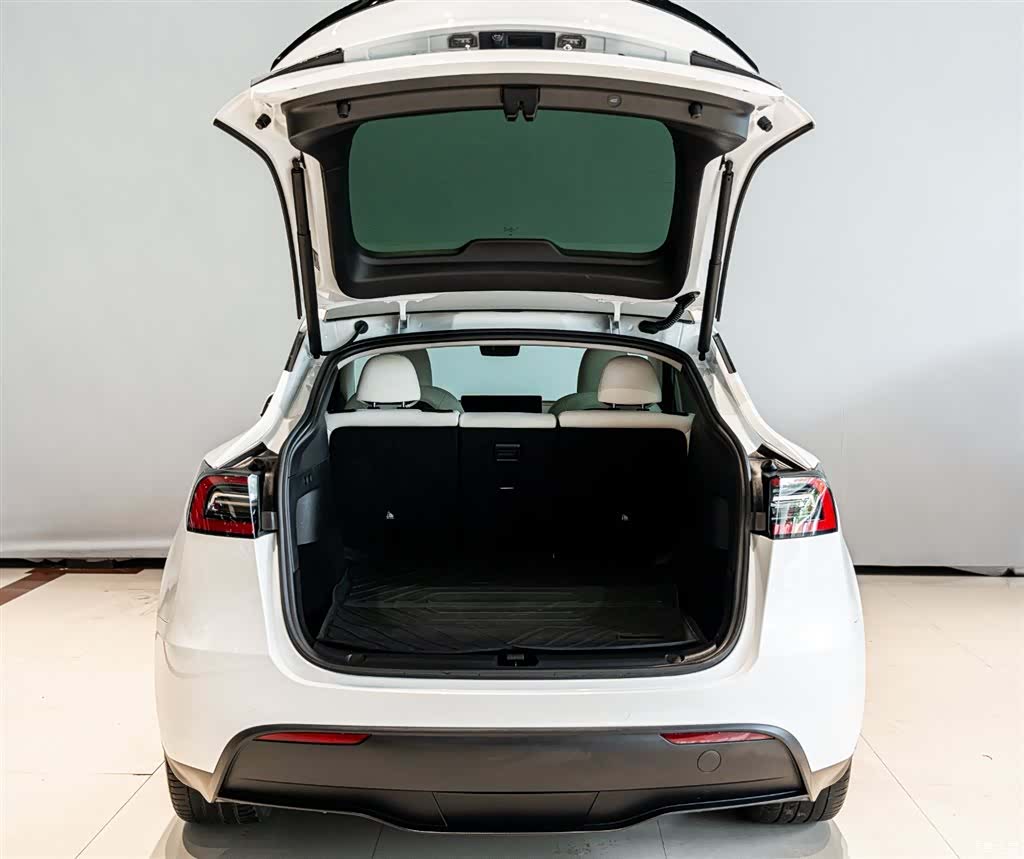 Tesla Model Y, 2023 18