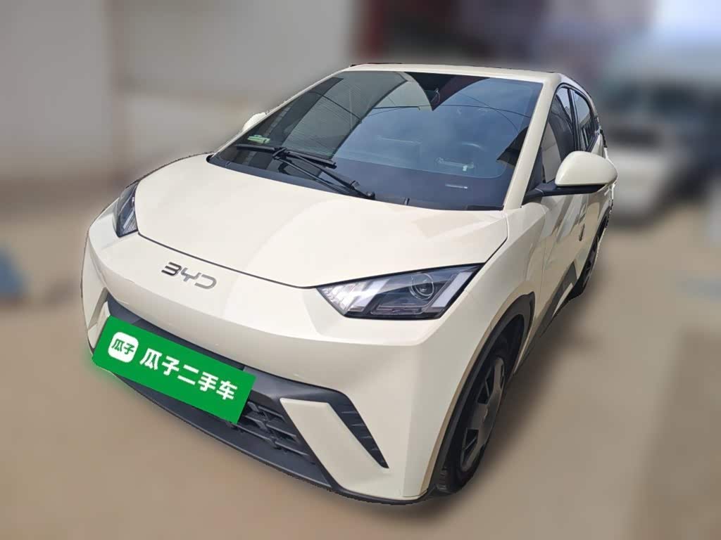 BYD Seagull