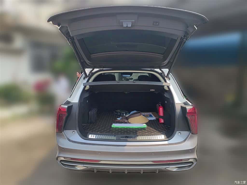 Hongqi E-HS9, 2021 10