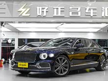 �ɳ� 2021�� 4.0T V8 ��׼��