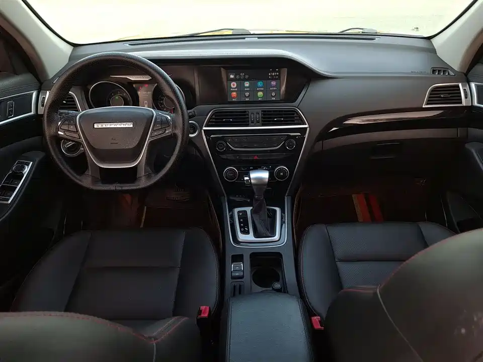 Leopaard Cheetah CS10