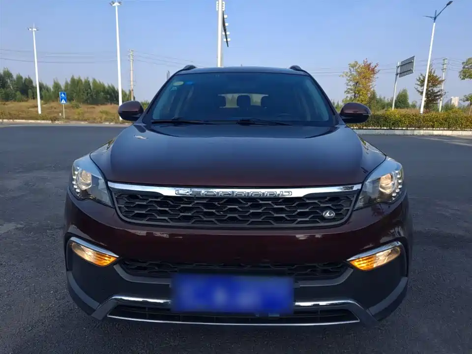 Leopaard Cheetah CS10