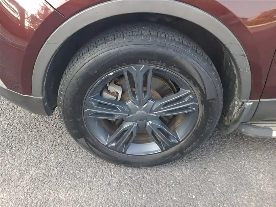 Leopaard Cheetah CS10