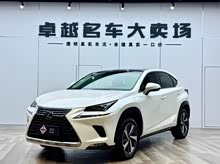 �׿���˹NX 2018�� 300h ȫ�� ���°� ��V