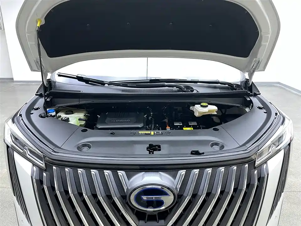 Trumpchi Trumpchi M8