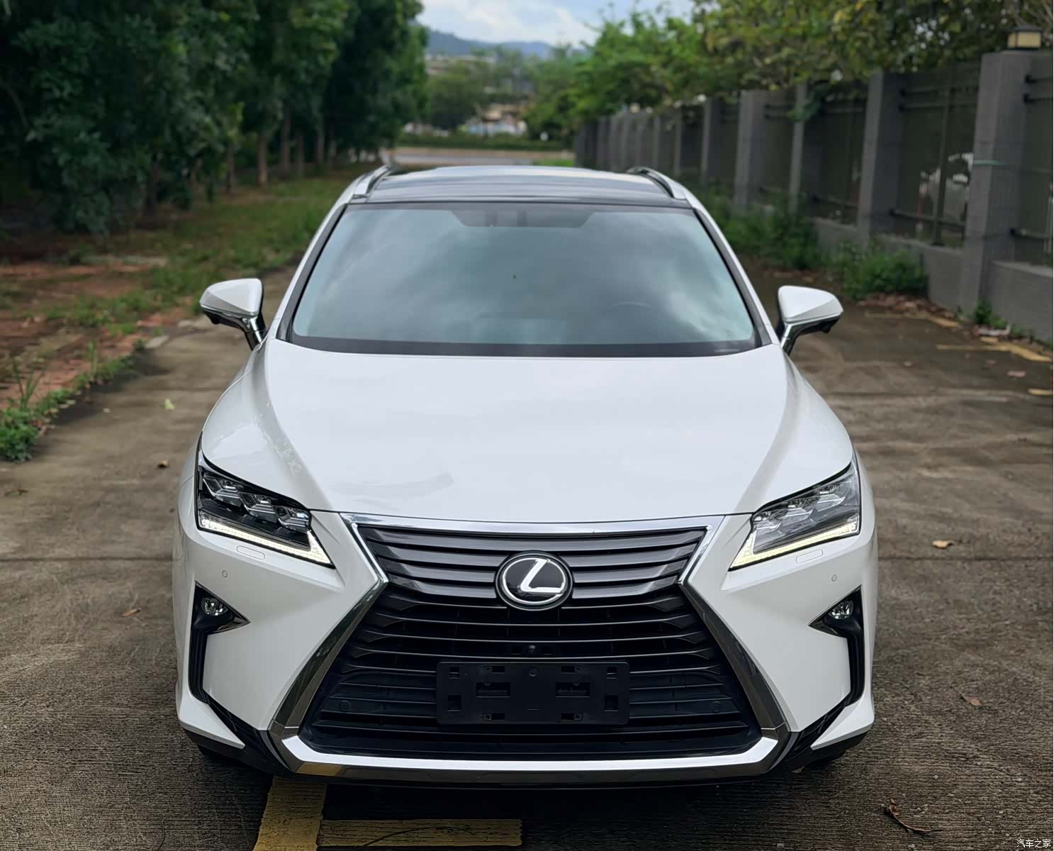Lexus RX, 2017 2