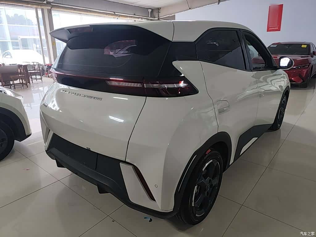 BYD Seagull, 2024 7