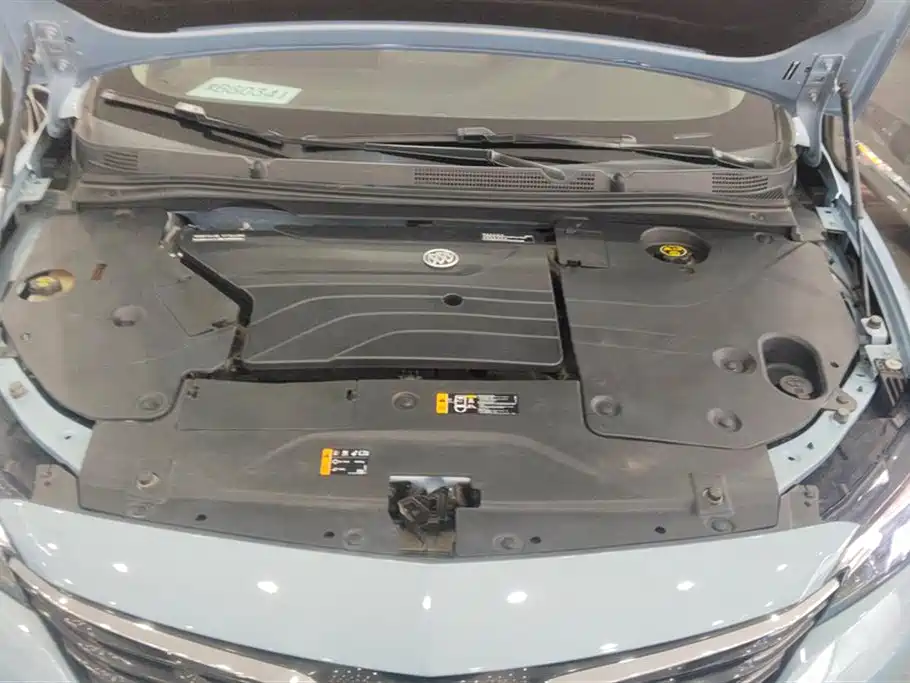 Buick Slightly blue 6