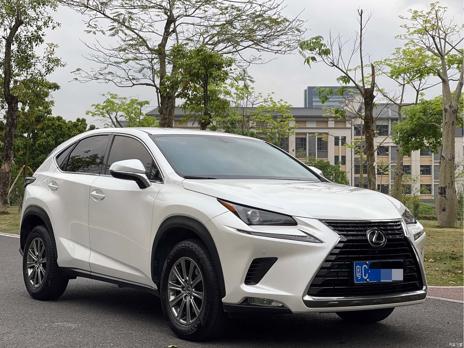 Lexus NX, 2019 3