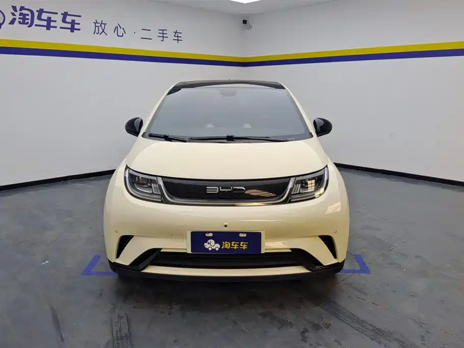 BYD dolphin