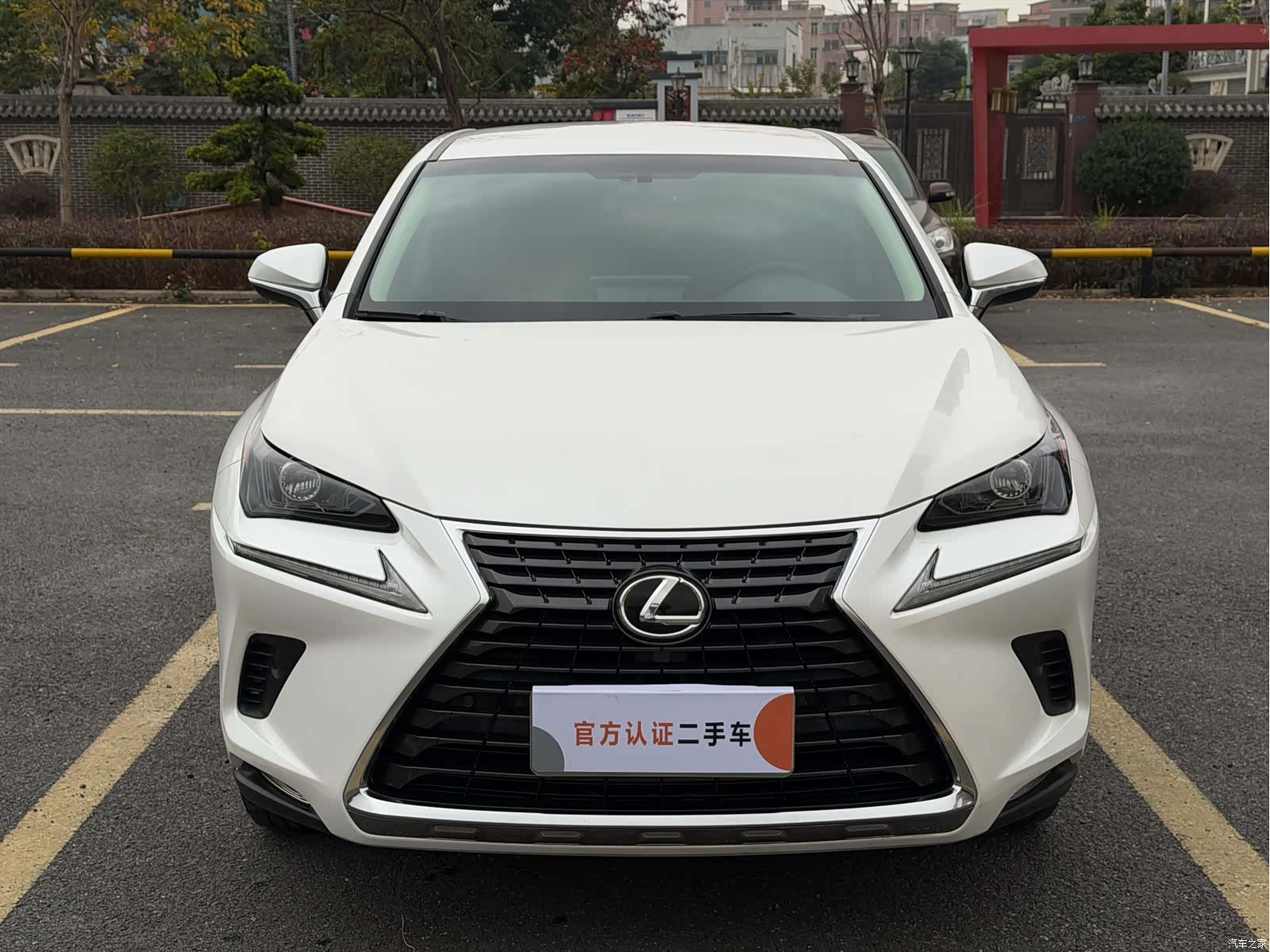 Lexus NX, 2019 2
