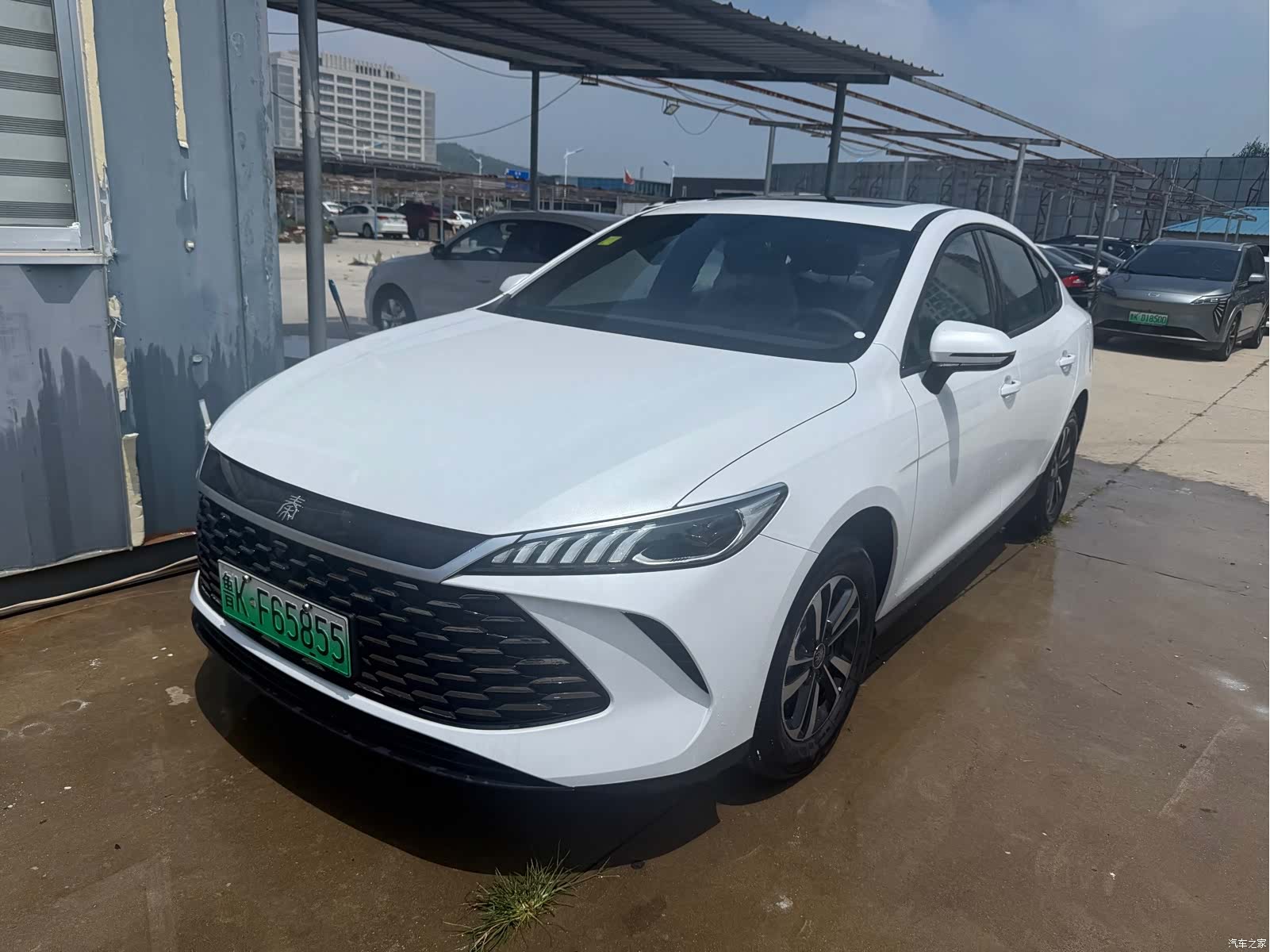 BYD Qin, 2026 1