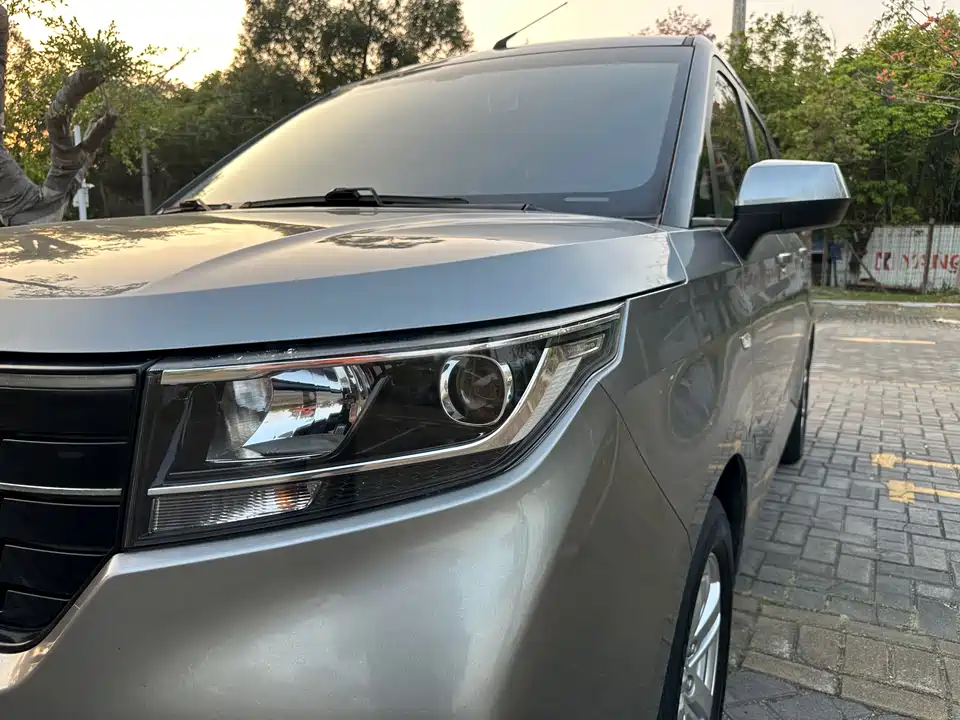 Wuling Wuling Hongguang PLUS