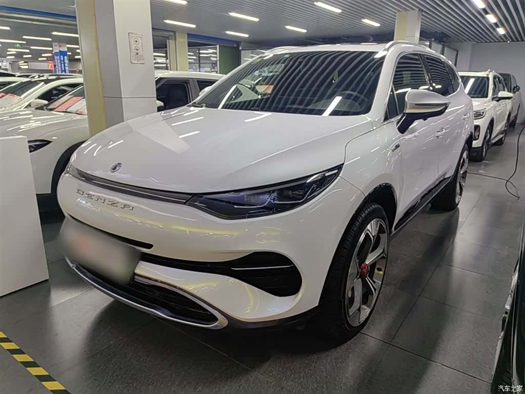 Denza X, 2020 1