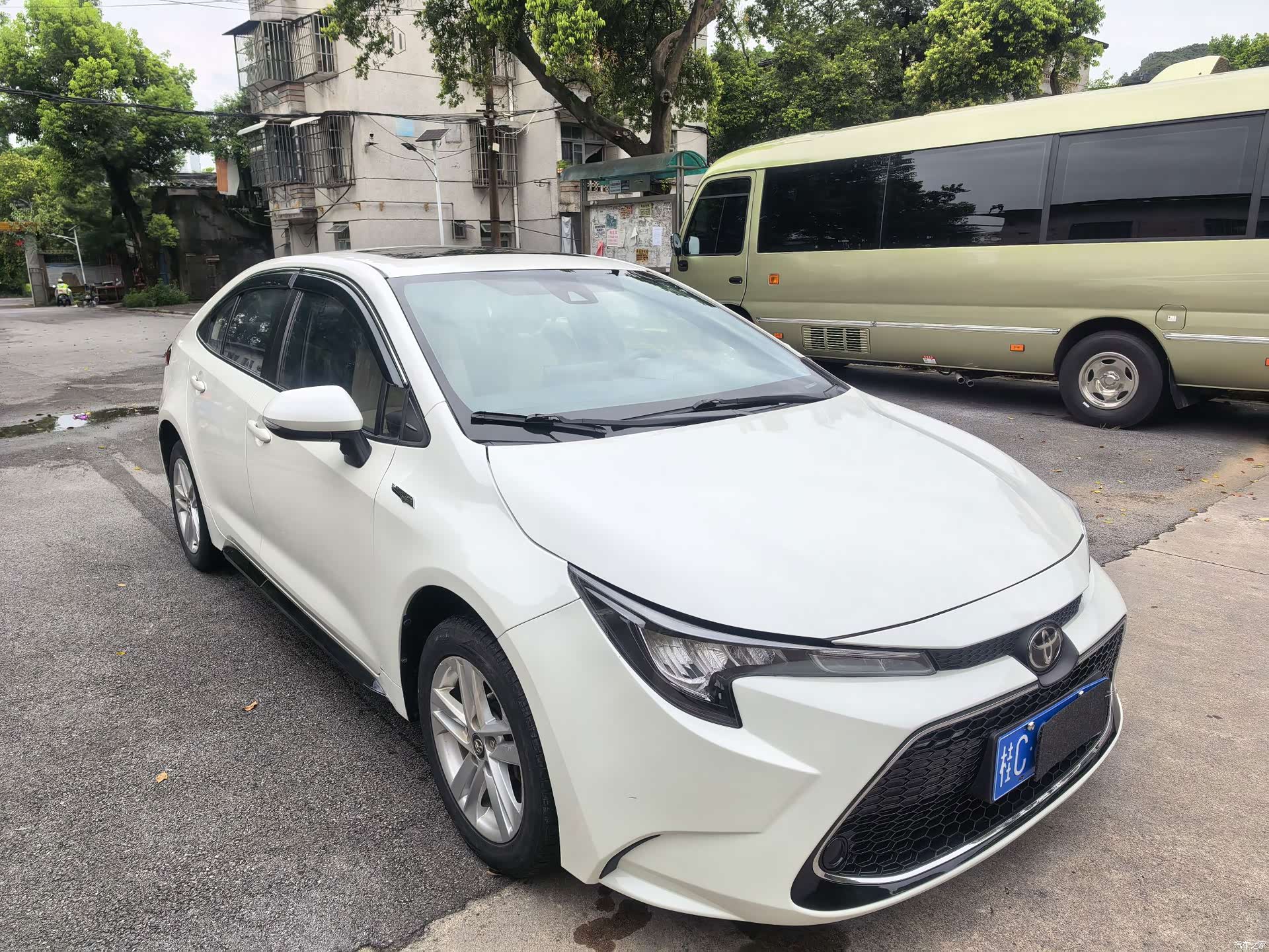 Toyota Levin, 2019 2