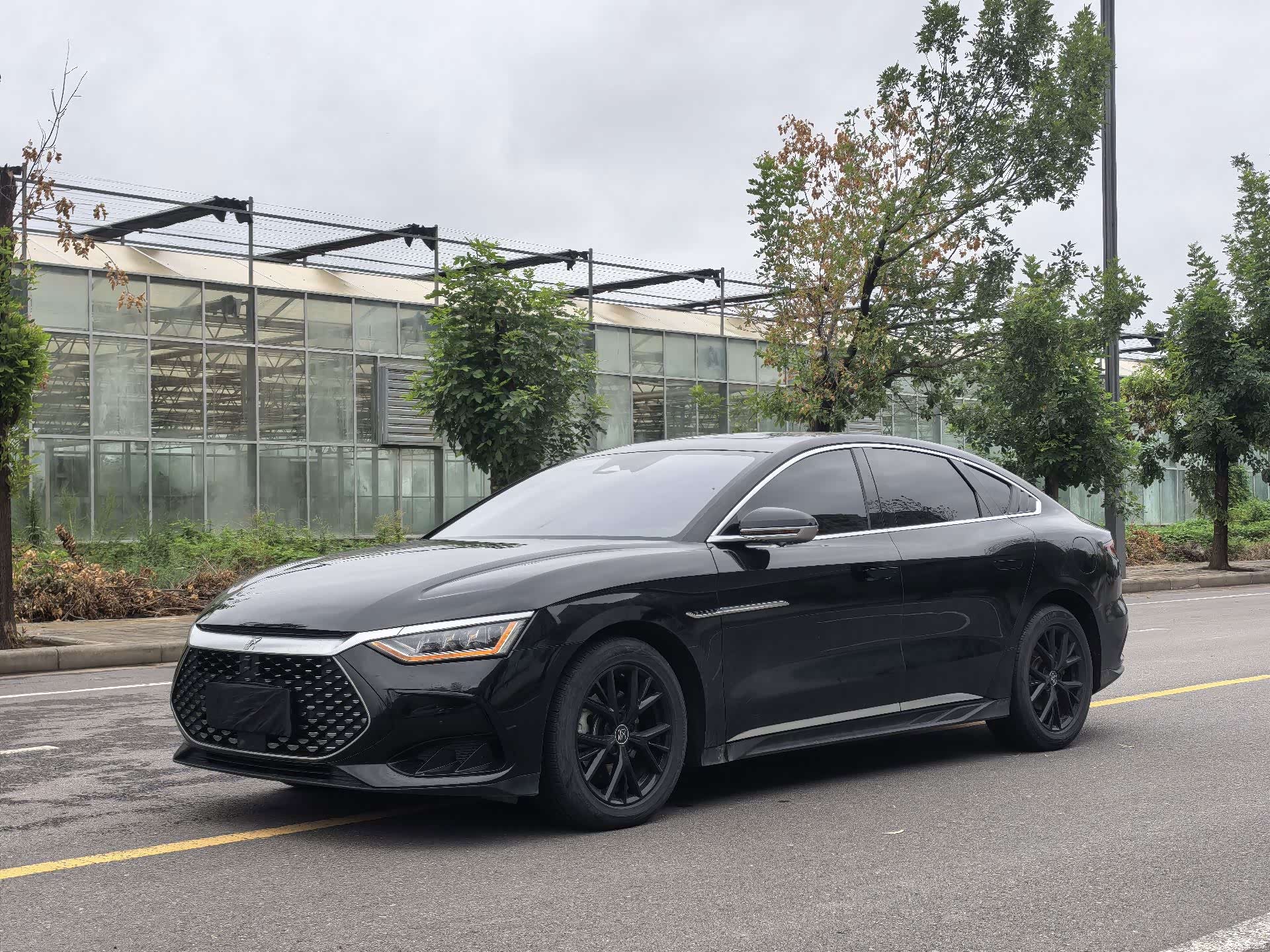 BYD Han, 2024 1