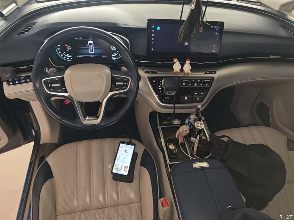 Roewe iMAX8, 2021 10