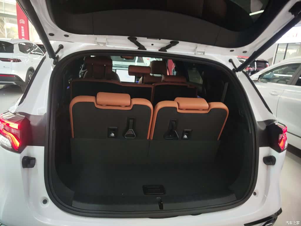 BYD Tang, 2023 19
