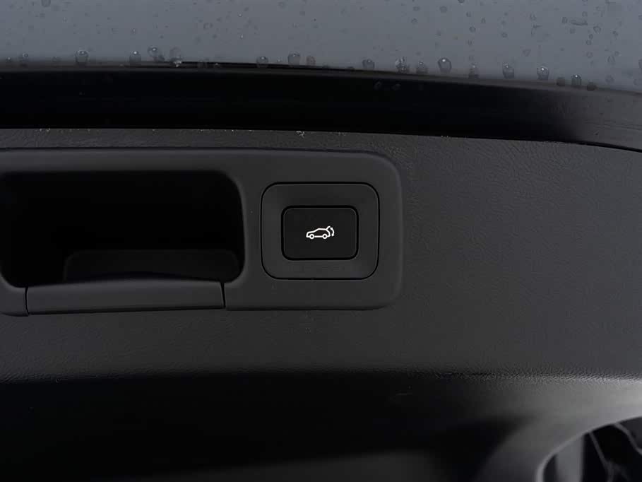 Trumpchi Trumpchi ES9