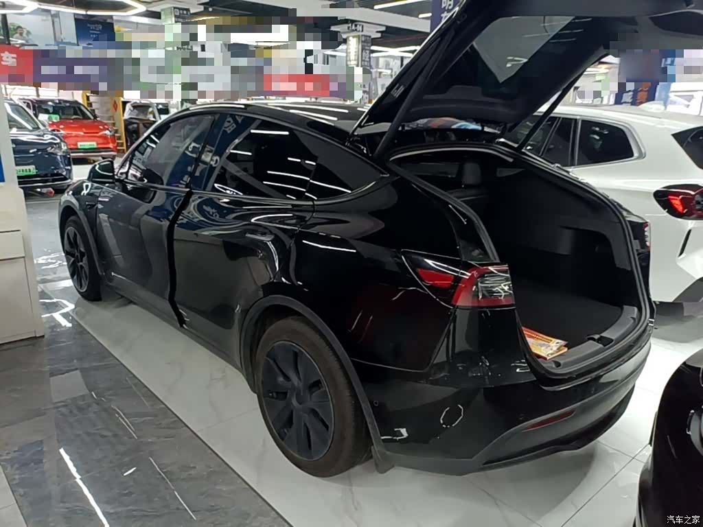 Tesla Model Y, 2023 все фото