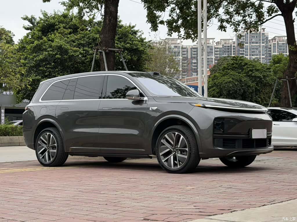 Li Auto L9, 2022 19