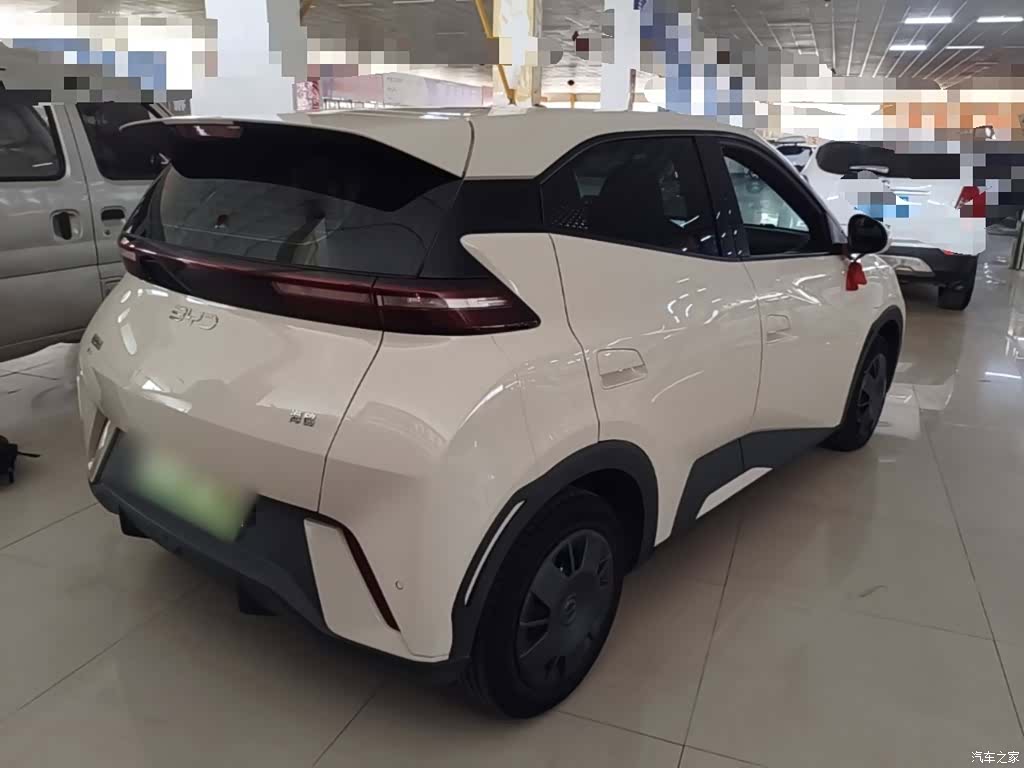 BYD Seagull, 2024 7
