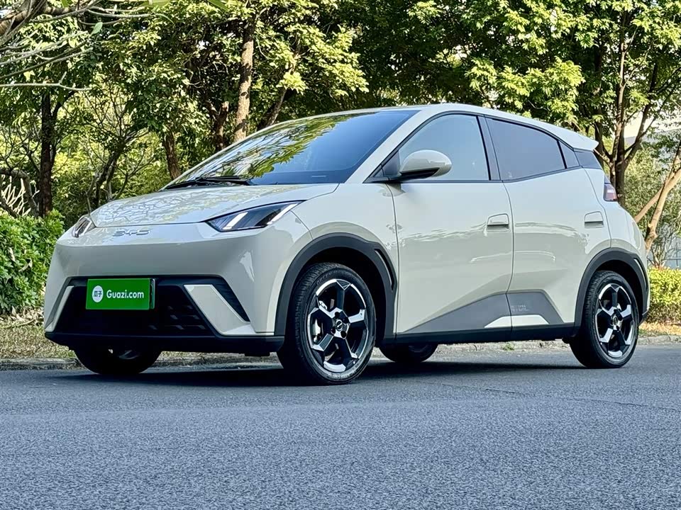 BYD Seagull