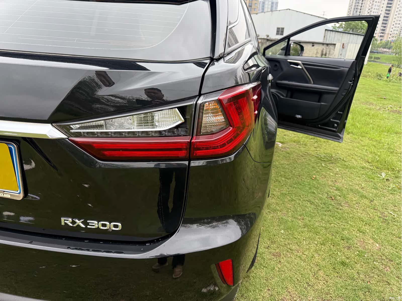 Lexus RX, 2019 16