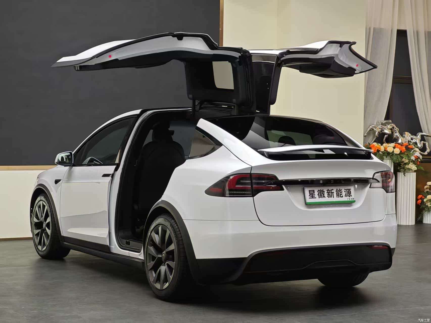 Tesla Model X, 2024 16