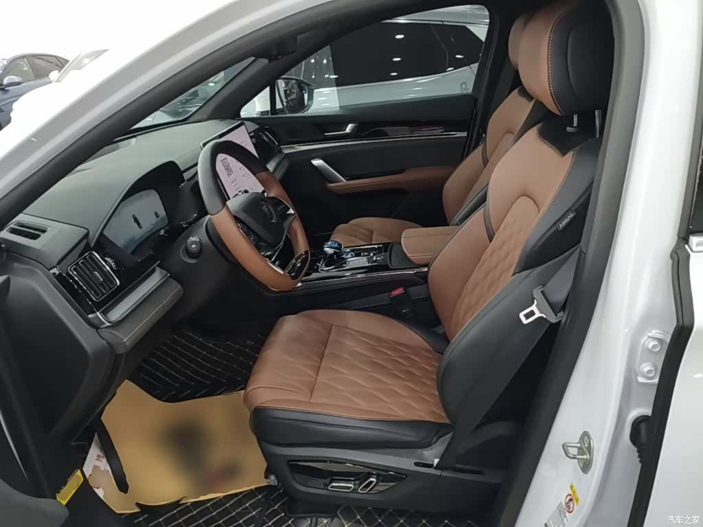 BYD Tang, 2023 15