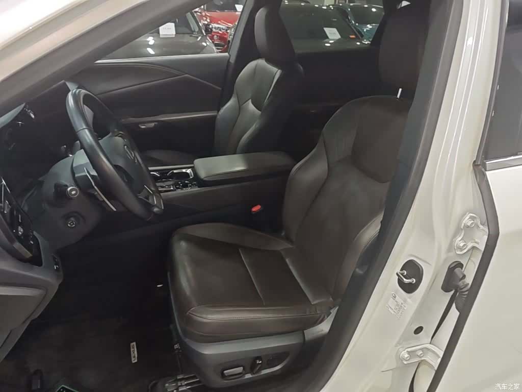 Lexus RX, 2024 11