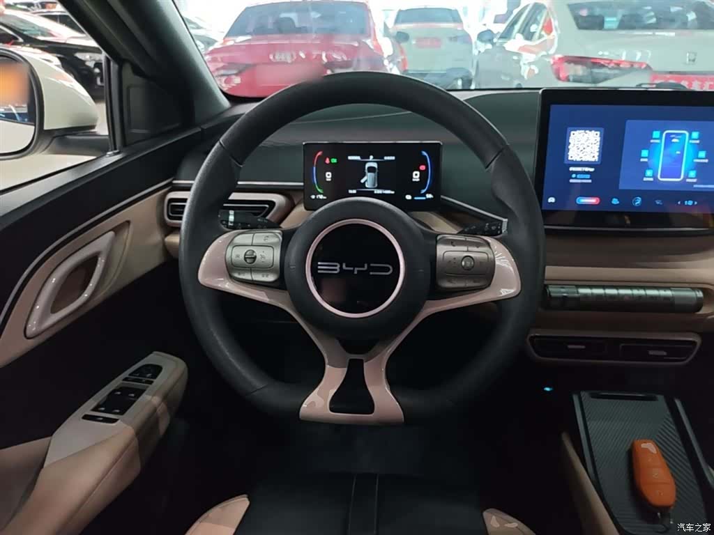 BYD Seagull, 2024 11