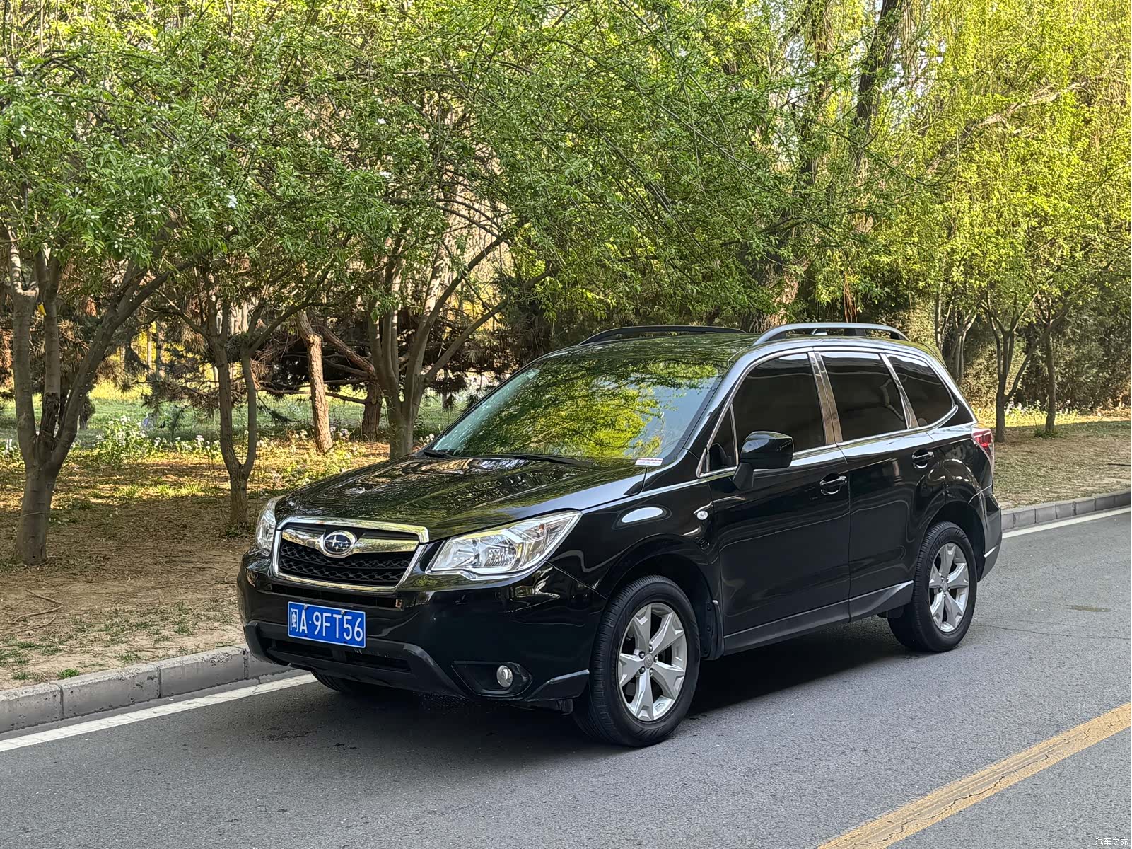 Subaru Forester, 2015 1