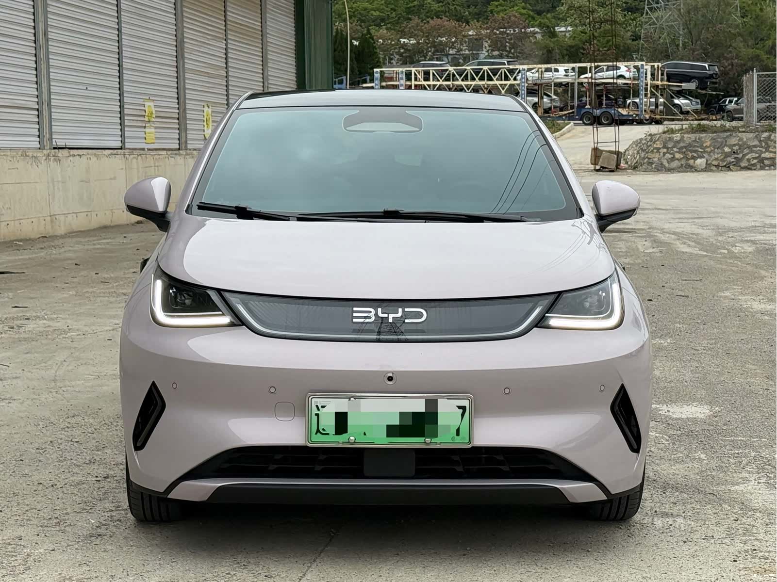 BYD Dolphin, 2025 2
