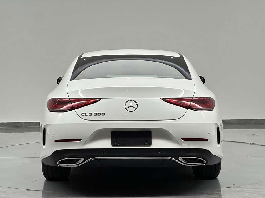 Mercedes-Benz CLS-Class 2020, фото 6
