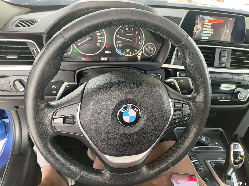 BMW 3 Series, 2017 7