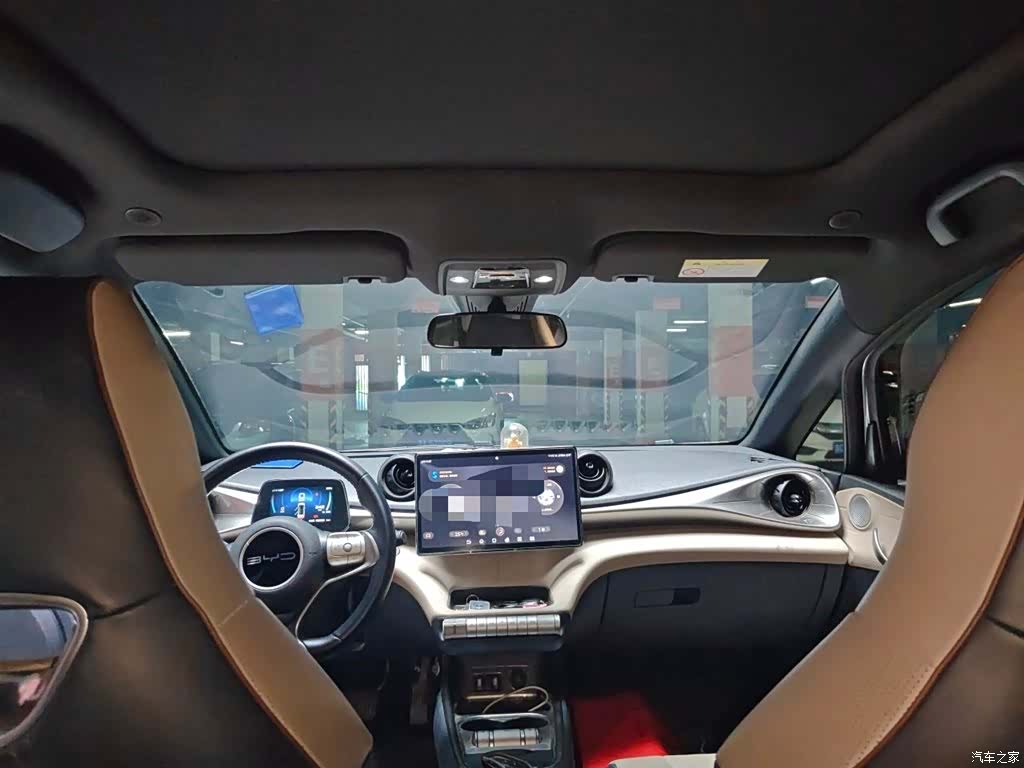 BYD Dolphin, 2024 15
