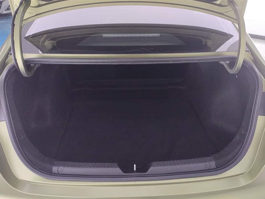 Trumpchi Shadow Leopard