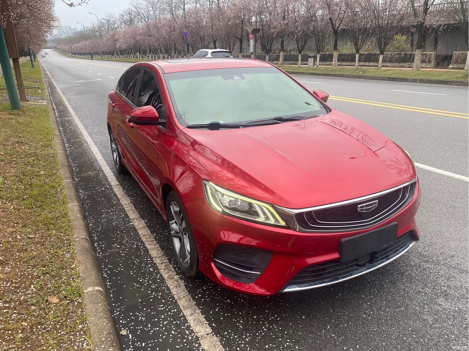 Geely Binray, 2020 3