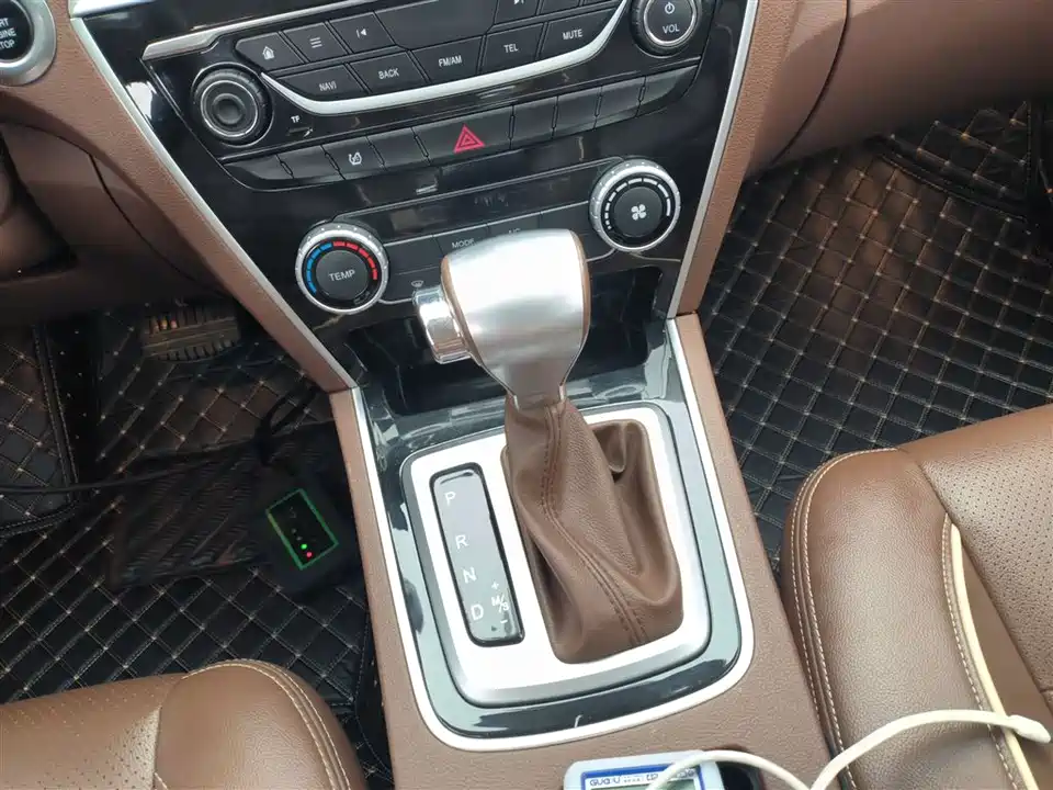 Leopaard Cheetah CS10