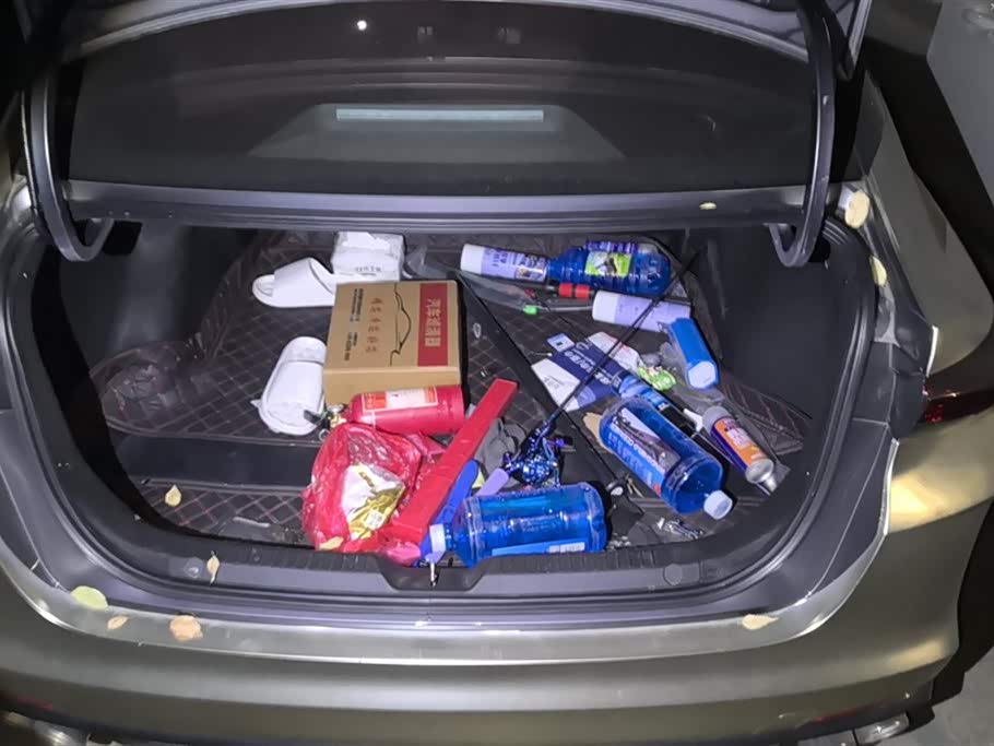 Trumpchi Shadow Leopard