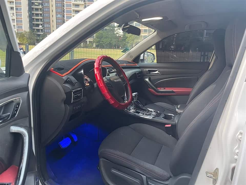 Leopaard Cheetah CS9