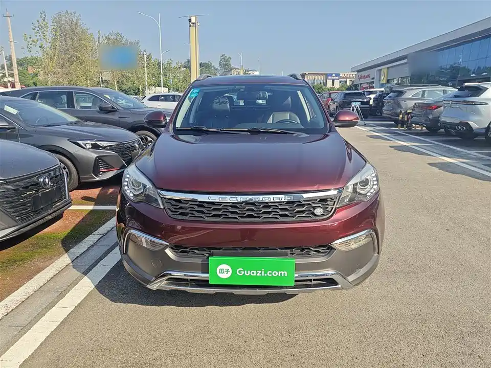 Leopaard Cheetah CS10