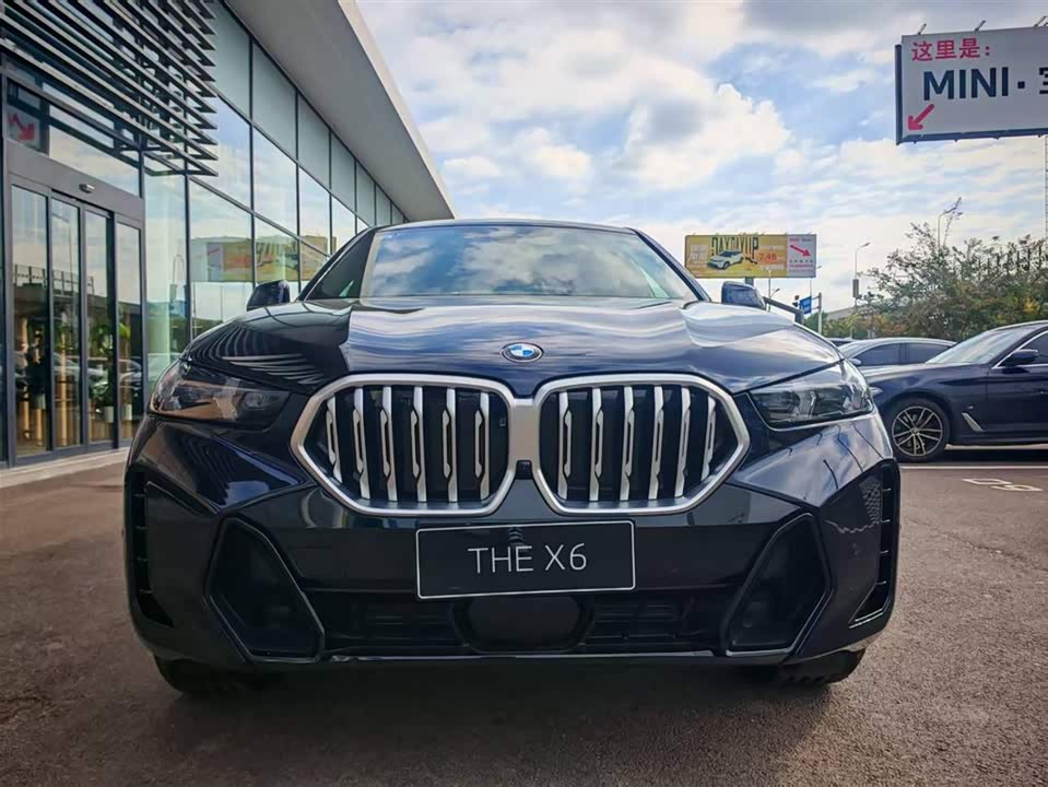 BMW X6
