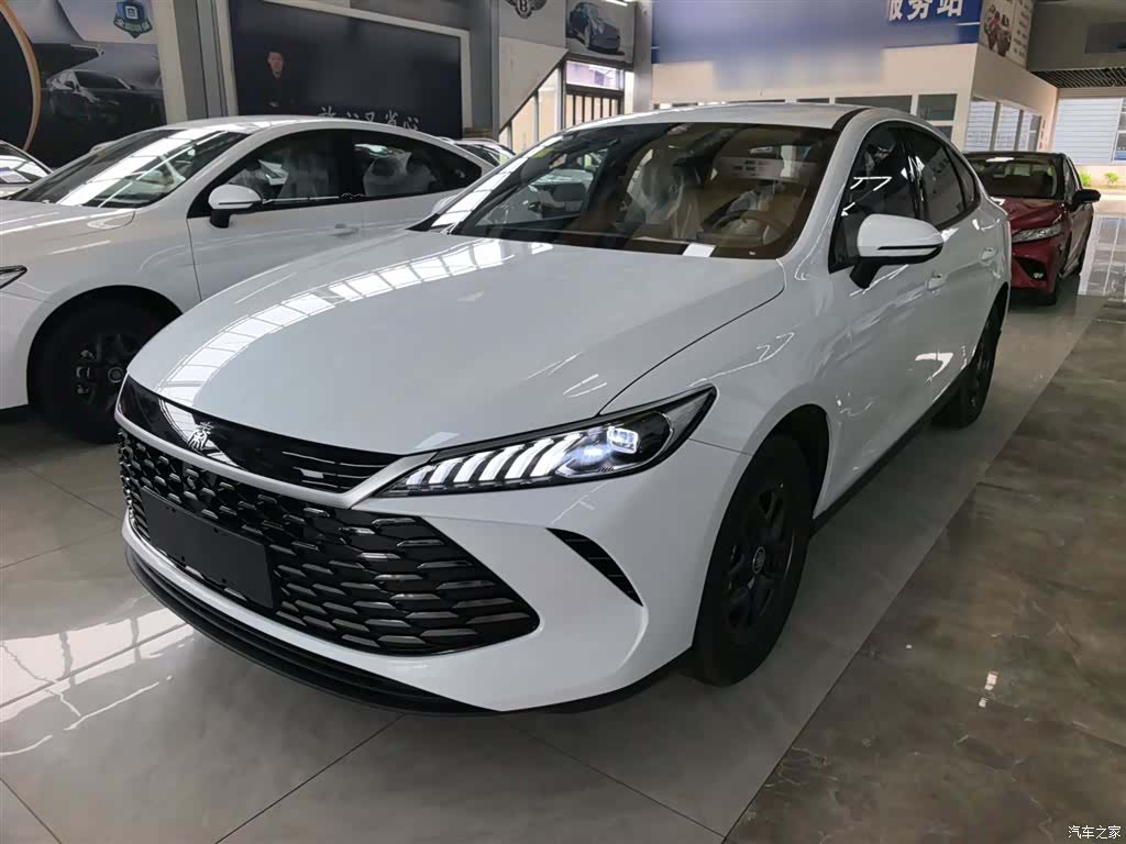 BYD Qin, 2026 1